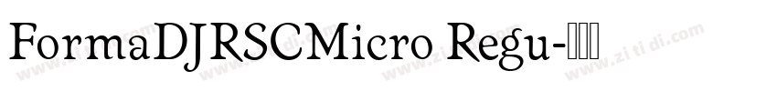 FormaDJRSCMicro Regu字体转换